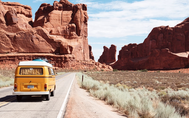 Wild Tours